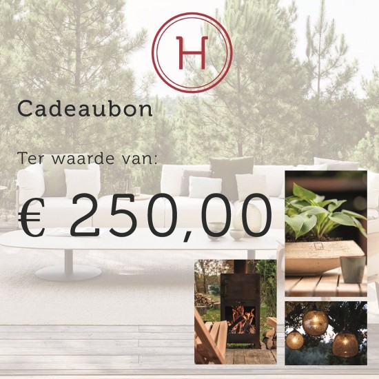 83931-Cadeaubon-EUR250